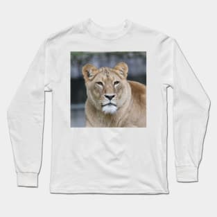 Lion 004 Long Sleeve T-Shirt